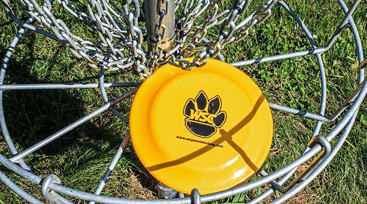 Disc Golf