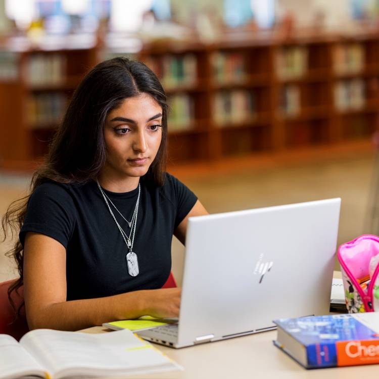 A WSC student uses a laptop