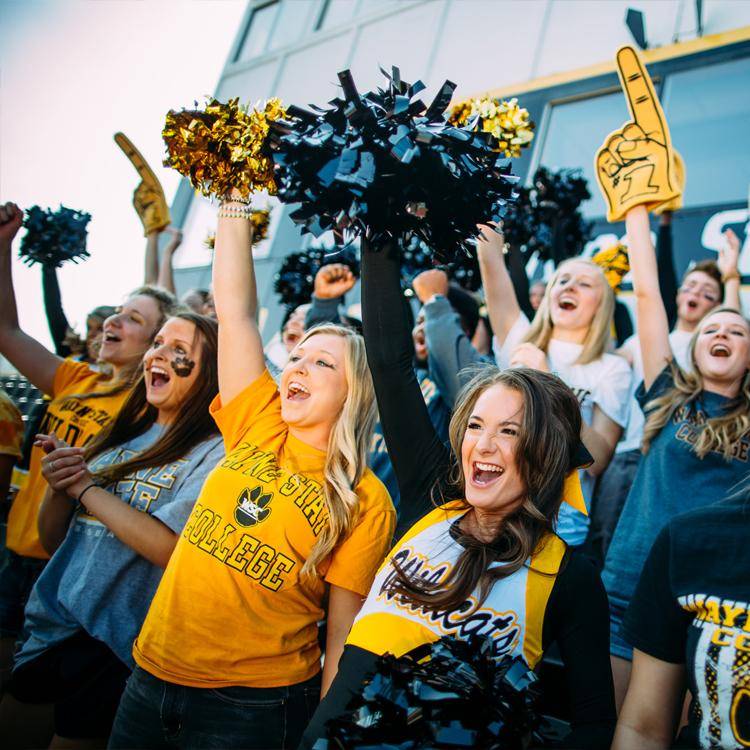 WSC Wildcat fans cheer from the stands