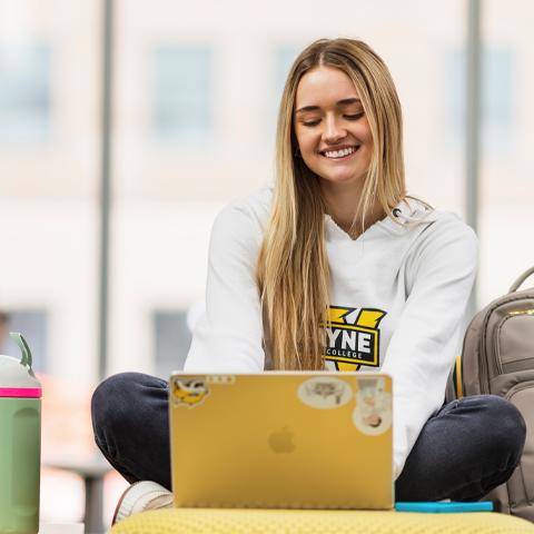 A WSC student on a laptop