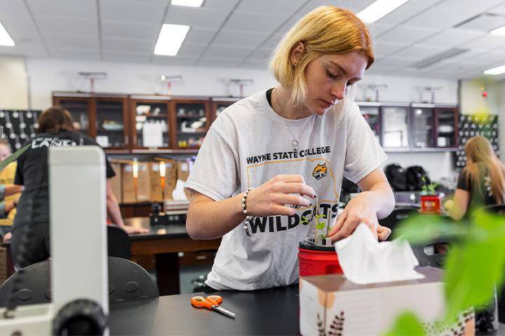 A student works on a plant biology lab project