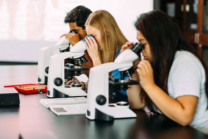 Students use microscopes in a science lab