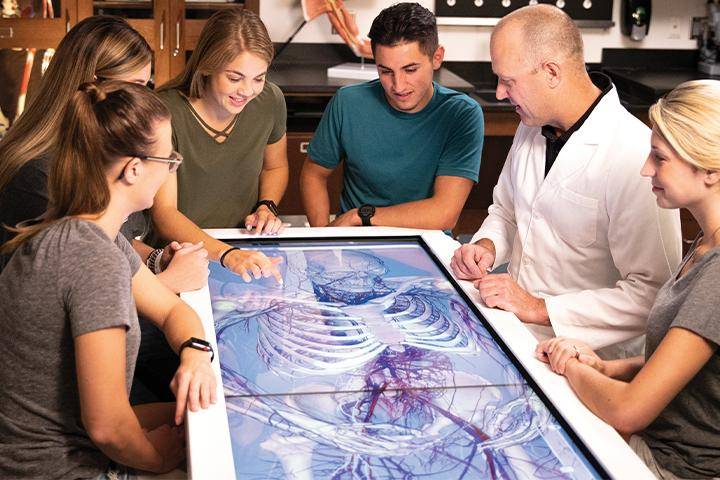 A professor and students use the Anatomage Table in the biology lab