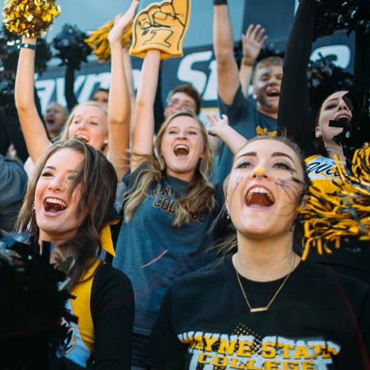 Students cheering at game