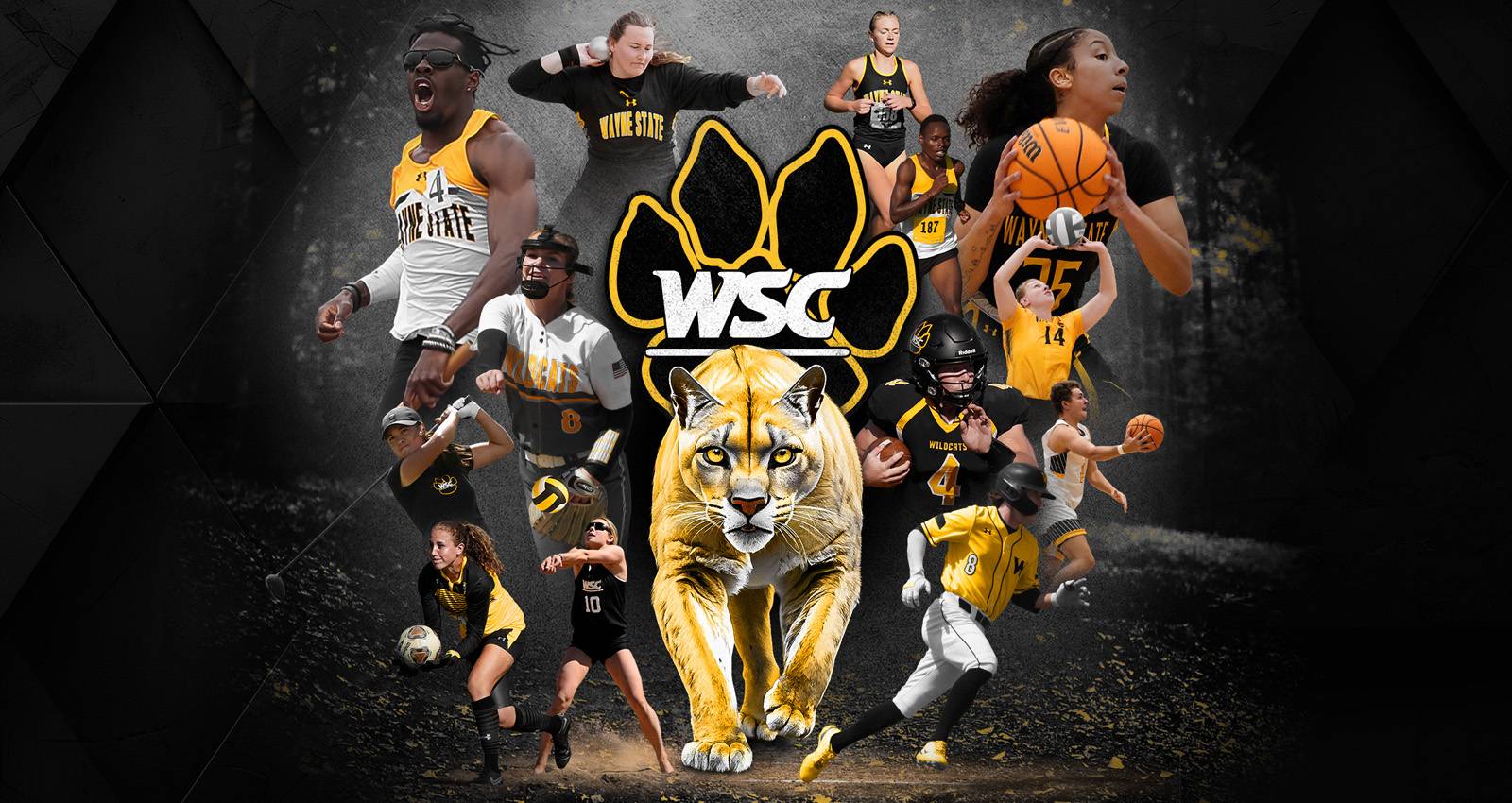Collage art of all WSC sports