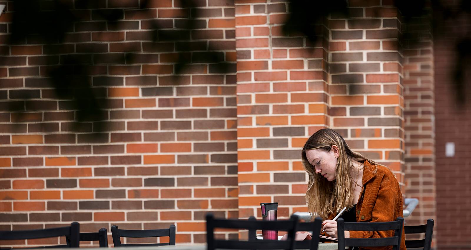 A female student studies outside the library