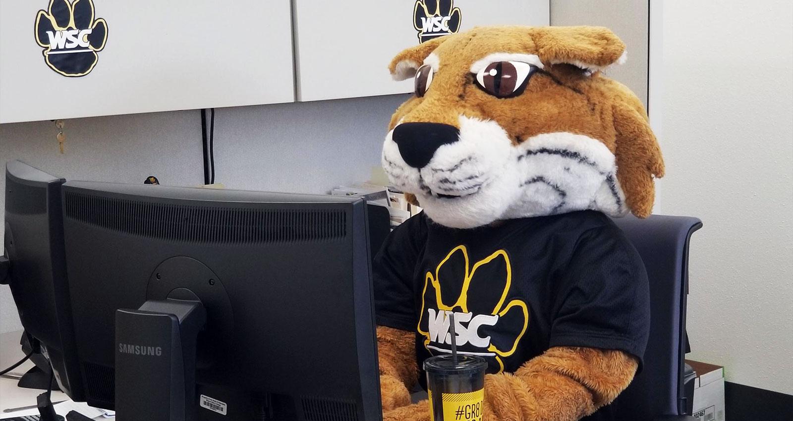 WSC's mascot, Willy the Wildcat, sits at a computer to work