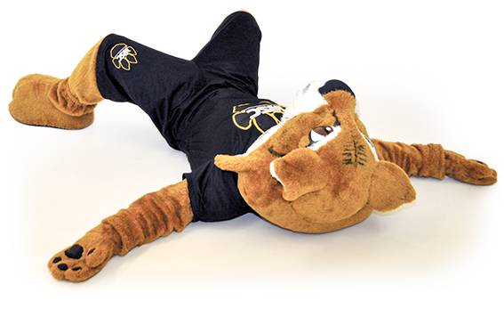 Willy Wildcat lying down